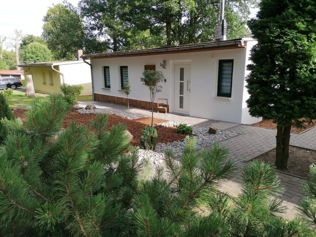 Regina Holiday home Neudorf (Saxony-Anhalt)